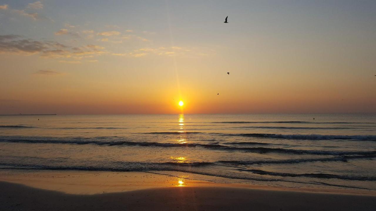 Sea North Apartament Mamaia Luaran gambar