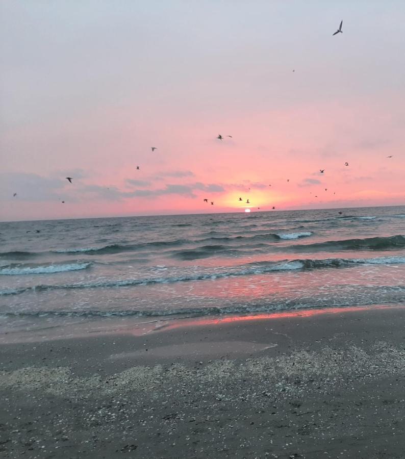 Sea North Apartament Mamaia Luaran gambar